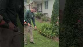 Edging a Borderless Flower Bed with String Trimmer