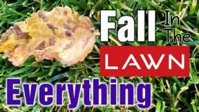 Everything YOU Need To Know About Fall Lawn Care