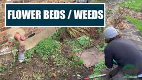 Flowerbed Clear Out | Plant Care and Removing Weeds | Yard Lawn Care And Maintenance