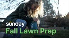 How to Prepare Your Lawn for Fall
