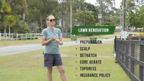 Lawn Renovation Guide // How to Plan Your Spring Reno