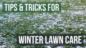 How to Do Winter Lawn Maintenance (Winter Lawn Care Tips)