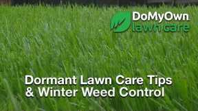 What about my Lawn During the Winter? - Dormant Lawn Care Tips | DoMyOwn.com