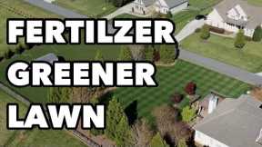 Spring Lawn Fertilizer For ALL Grass Types