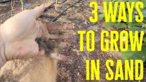 The Secret to Growing Abundant Veggies in Sandy Soil: Shocking Results Guaranteed!