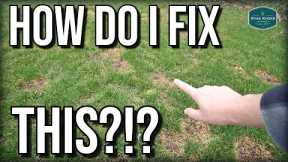 How To FIX Your Damaged LAWN in Spring + Spring Lawn Care UPDATES 2021