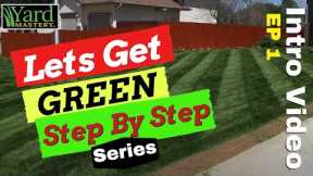 New Step By Step Lawn Care Series | Lets Get Green EP 1 #lawncare #greenlawn #fertilizer