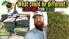7 Lawn tips for beginners.  How to maintain a lawn.  Grass care in Brazil.