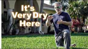 Dry Lawn // Gulf States Watering Tips In The Dry Season