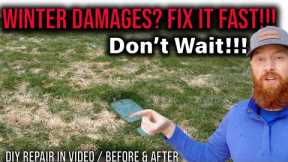 fix dead grass after snow or rain, DON'T WAIT!