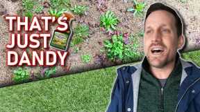 Kill WEEDS Without Killing Your GRASS This Spring // How To Kill Weeds 3 Ways With Spectracide Stuff
