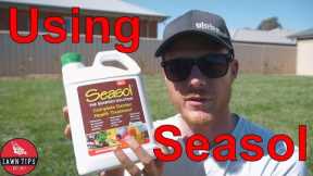 Why You Should Use Seasol On Your Lawn