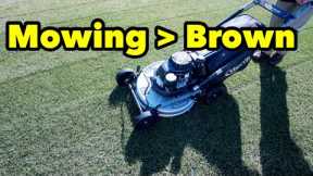 Mowing Lawn How To Remove Winter Brown From Your Lawn