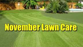 November Late Fall Lawn Care