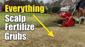 Spring Lawn Scalp Fertilizer and Grub Treatment