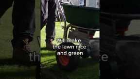 Use this CHEAP fertiliser to get an AMAZING GREEN lawn