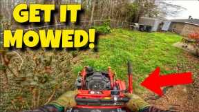 Backyard Mowing | Lawn Mower | Lawn Care | Cutting Grass | Lawn Care Business | Lawn Care SetUp