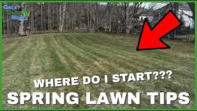 Spring Lawn Care (For Beginners) - WHAT TO DO FIRST!