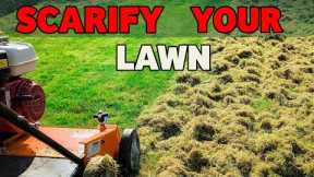 The complete beginners guide to lawn scarification