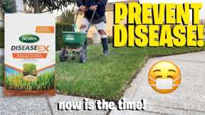 Scotts disease ex fungus control! Early Spring application for your lawn!
