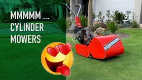 What You Need to Know About Cylinder Mowers