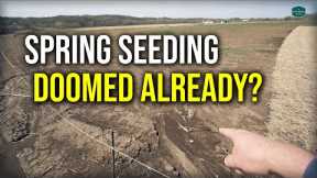 SEEDING A LAWN IN SPRING UPDATE!! // New Front Lawn Renovation Part 2