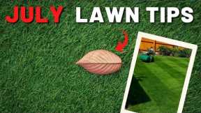 July DIY Lawn Care Calender // Fertilize, Weeds & Mow