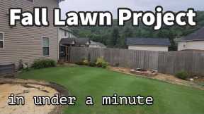 Fall Lawncare Plan // in under a minute