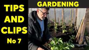 Tips and Clips | Garden Hacks | Useful Tips | Number 7 | Green Side Up