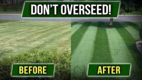 STOP OVERSEEDING! There's a Cheaper Way!!