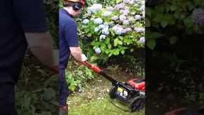 Amazing hedge cutting hack