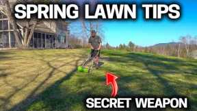 Simple Lawn Tips for a GREAT LAWN this SPRING