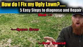 5 easy steps to identify and repair an UGLY LAWN. Spring Lawn Dead patches, brown grass, overwatered