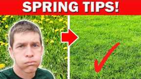 Spring Lawn Care Tips for Bermuda, Zoysia, Centipede and St Augustine
