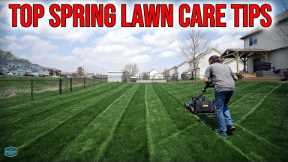 Top 7 EARLY SPRING Lawn Care Tips 2023