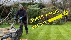 Guess Who's Back... Back Again... | Spring Lawn Care Maintenance Edge/Cut/Weed/Clear Up