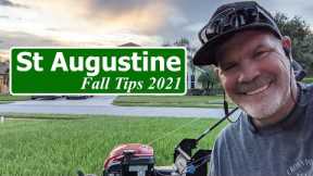 St Augustine Grass Lawn Tips Fall 2021