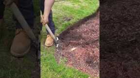 Spade edging in a mulch bed.  Precision work from Francis son.