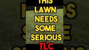 This lawn needed some serious TLC #lawncaretips #lawncare #lawncarecommunity