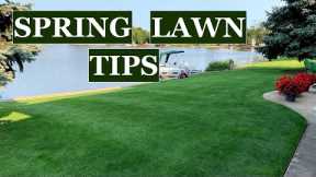 Don't make these 3 MISTAKES // Spring lawn care