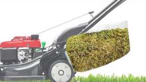Lawn Mower Cut Quality: Bagging