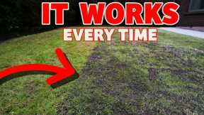 The secret to a thick lawn starts here // Beginner lawn care tricks