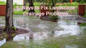 5 Ways to Fix Landscape Drainage Problems