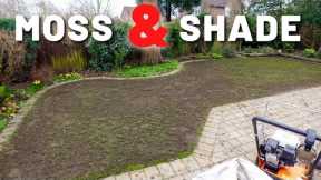 Shaded & Mossy Full UK Lawn Care Rennovation