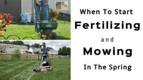 Spring Lawn Care Tips - When To Start Fertilizing and Mowing Your Lawn In The Spring