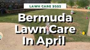 Bermuda Lawn Care In April 2023