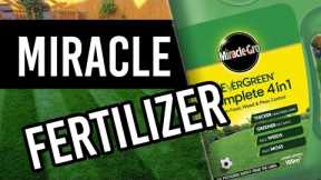 Evergreen Complete 4 in 1 Application - Summer Lawn Care