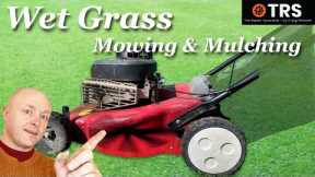 Cutting Wet Grass with a Lawn mower (Mulching Vs Collecting)