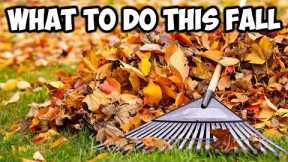 Fall Lawn Care Steps ( YOU MUST DO !!! )