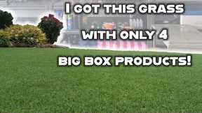 You only NEED 4 products to easily have a beautiful, green lawn. Basic lawn care tips on a budget!